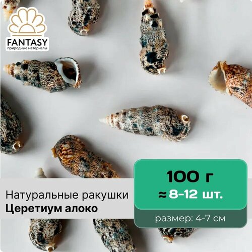 Натуральные морские ракушки FANTASY Церетиум алоко размер - 4-7 см отборные набор весом 100 г 8-12 шт 280₽
