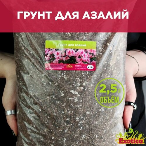 Грунт торфяной (земля) для азалий 2,5л, гортензий и гербер (рододендронов)