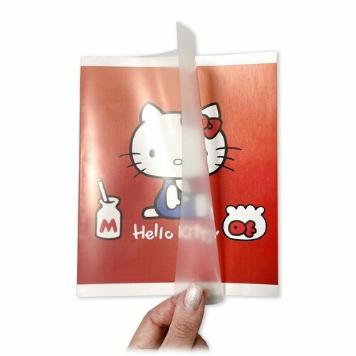 Centrum Тетрадь 48 листов в клетку KuromiMyMelodyHK обложка картон в дополнительной ПВХ обложке блок 60 гм2 микс 437₽