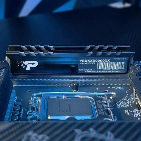 Оперативная память Patriot Signature Premium DDR5 5600 МГц 2x16 ГБ (PSP532G5600KH1) — фото 1