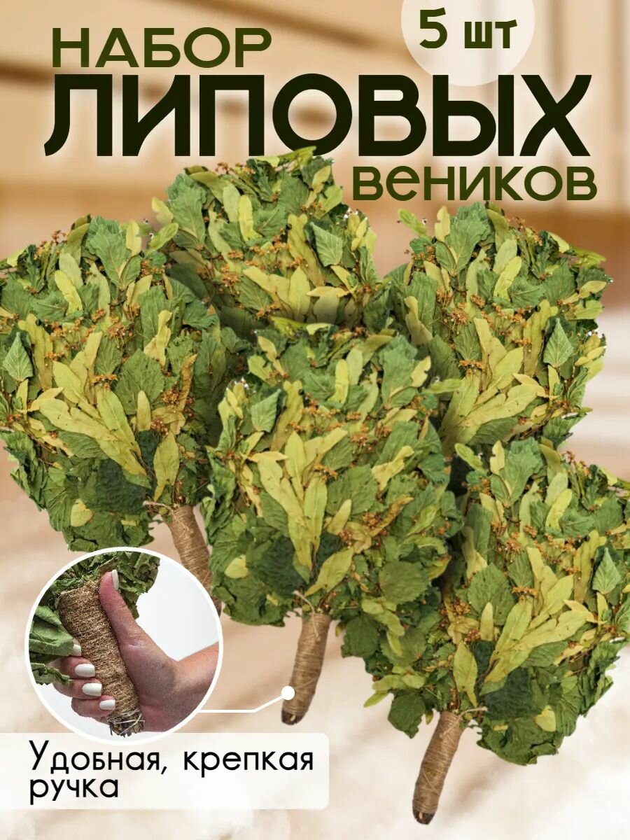 Липовый веник для бани 5 штук