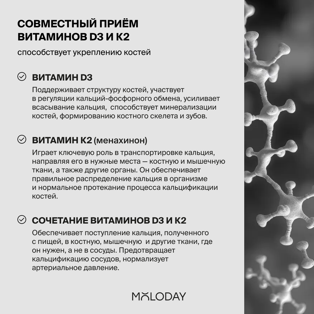 MOLODAY LITE Витамин D3+K2, для иммунитета, 2000МЕ + 75 мкг, 90 капсул — фото 1