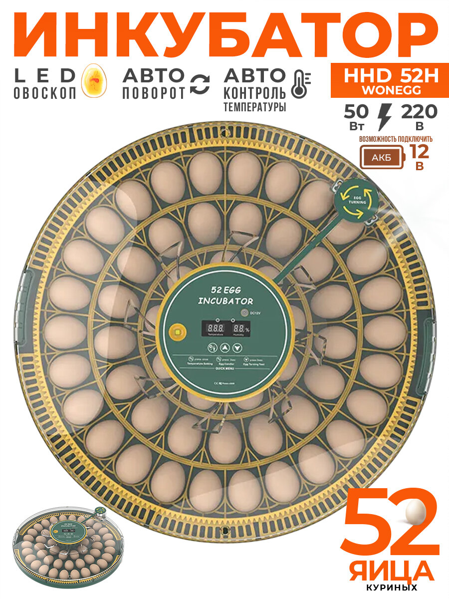 Инкубатор HHD 52H WONEGG автоматический для яиц 220В/12В от сети и аккумулятора, с овоскопом