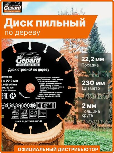 Изображение товара Круг отрезной диаметр 230 мм, посадочный размер 22,2 мм по дереву GEPARD (GP0908-230)