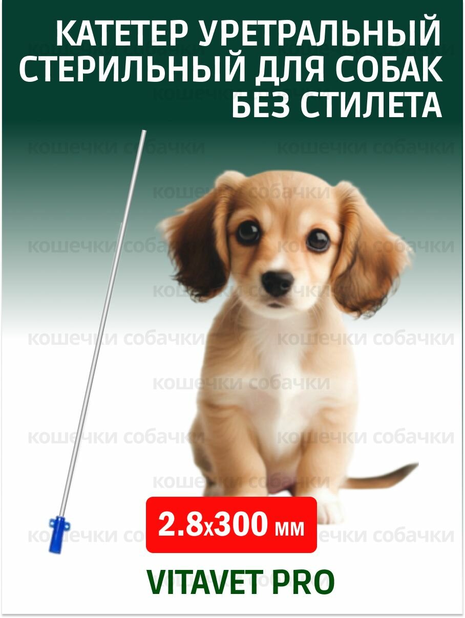 VitaVet PRO Катетер уретральный стерильный для собак 2.8х300мм без стилета
