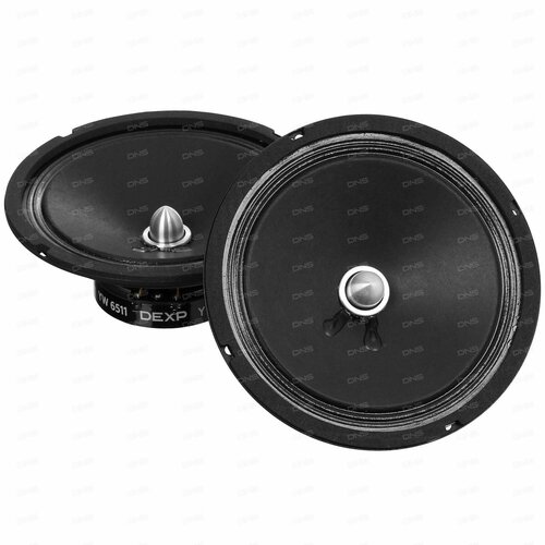Широкополосная АС DEXP YW 6511 209700₽