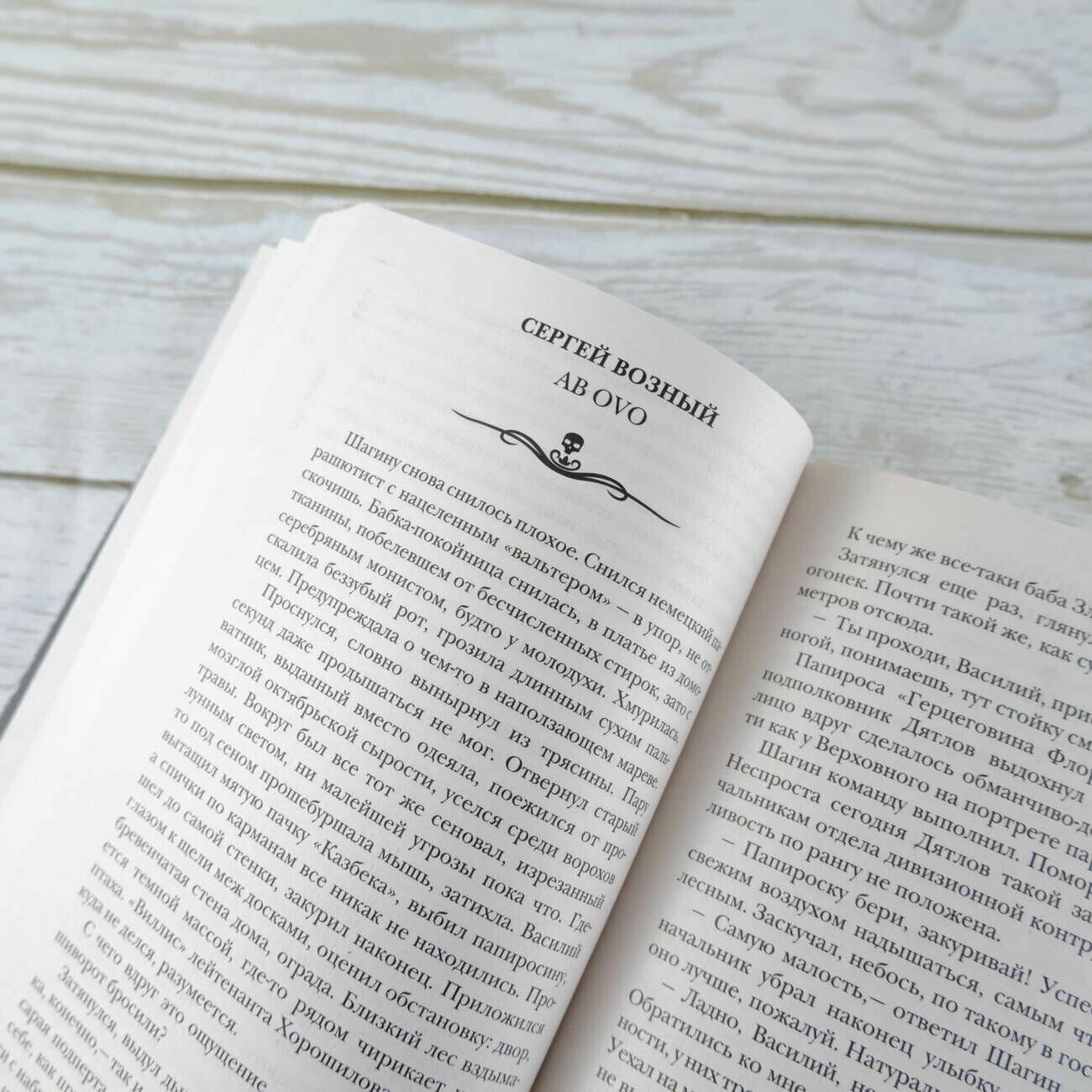 Самая страшная книга 2024 (Парфенов Михаил Сергеевич, Кабир Максим Ахмадович, Матюхин Александр Александрович) - фото №7