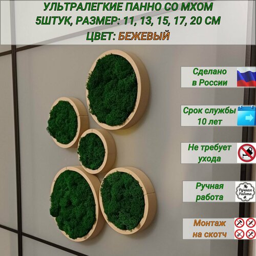 Круглые декоративное панно на стену со стабилизированным мхом, декор для дома, 5 штук, бежевые