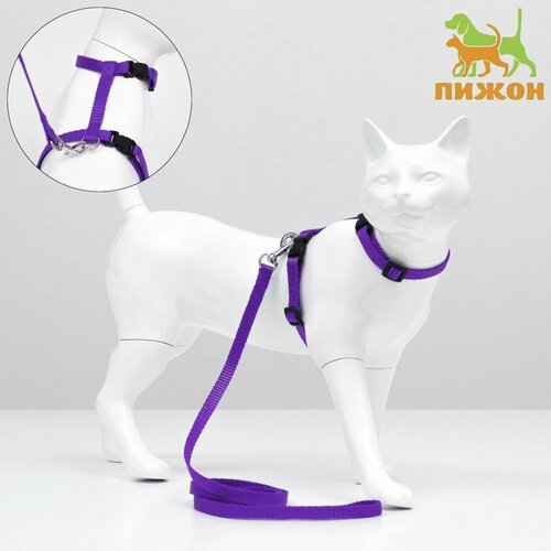 Комплект для кошек, ширина 1 см, ОШ 16,5-27 см, ОГ 21-35 см, поводок 120 см, фиолетовый, 7626836