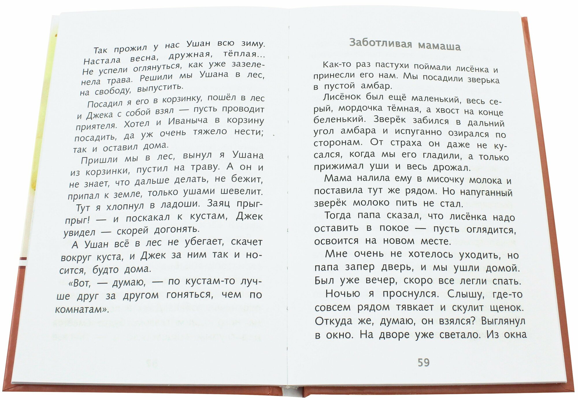 Лесное эхо (Скребицкий Георгий Алексеевич) - фото №2