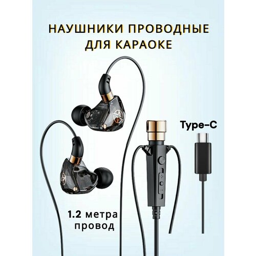 Наушники проводные KT-02 для караоке с микрофоном для телефона Type C 1800₽