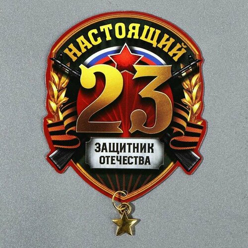 Магнит-украшение - Защитник отечества с дополнительным элементом 8 х 6 см 2 шт 219₽