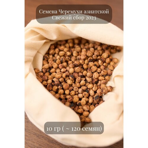 Семена Черемухи азиатской, 10 грамм (примерно 100 шт) семена аморфы кустарниковой 10 грамм примерно 850 шт