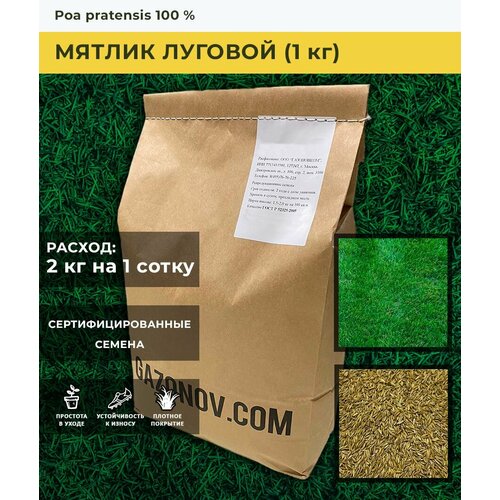 Семена газона Мятлик луговой (1 кг)
