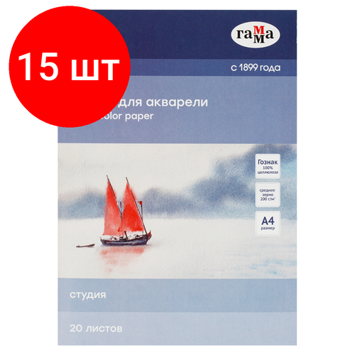 Комплект 15 шт, Папка для акварели, 20л, А4 Гамма Студия, 200г/м2, среднее зерно