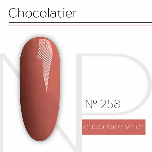 Nartist 258 Chocolate velor 10g