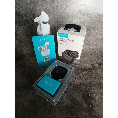 Беспроводные наушники Celetbrat W25 168000₽