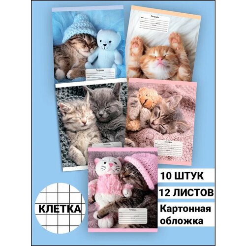 Тетрадь 12 листов в клетку А5 AXLER набор общих рабочих тетрадок 10 шт в твердой обложке