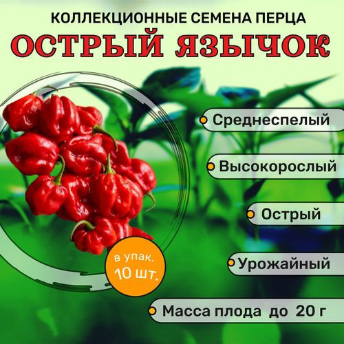 Коллекционные семена перца острого Острый язычок семена перца острого красный чили очень острый