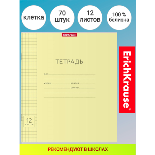 Тетрадь 12 листов в клетку с линовкой. ErichKrause® 