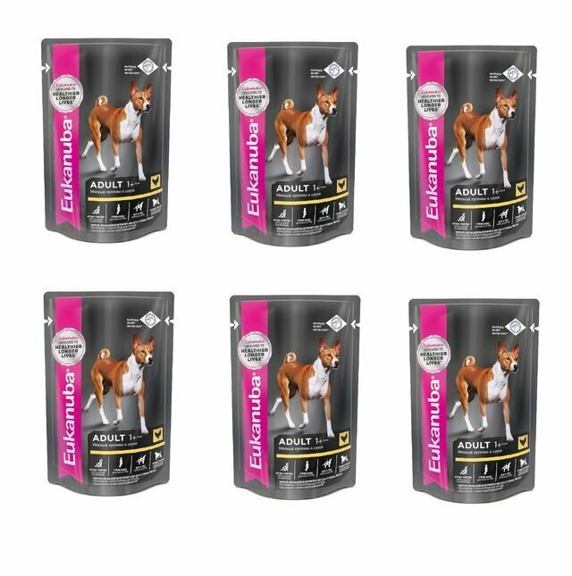 Eukanuba ADULT ALL BREED CHICKEN пауч влажный корм для взрослых собак всех пород, курица в соусе, 100 гр, 6 уп