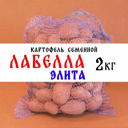 Семенной картофель сорта Лабелла 2кг, клубни, Элита семенной картофель маяк 2кг элита