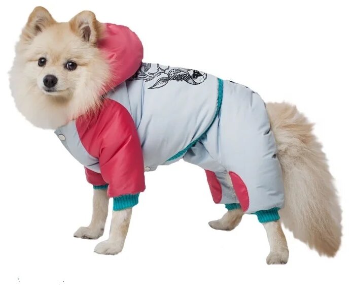 DogVille, Одежда для собак - комплект: полукомбинезон и куртка с капюшоном, на кнопках, зима, 52625д