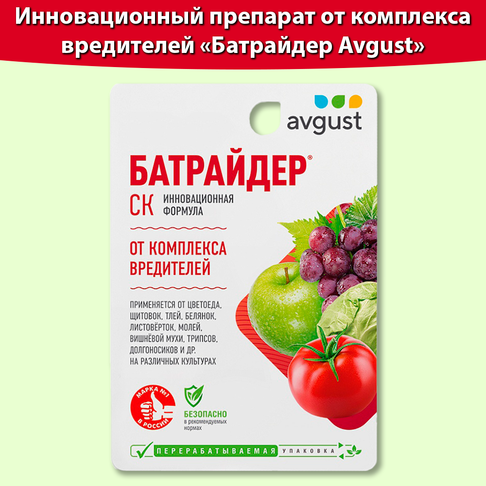 Средство от вредителей Батрайдер 10 мл * 1 штука, средство от колорадского жука