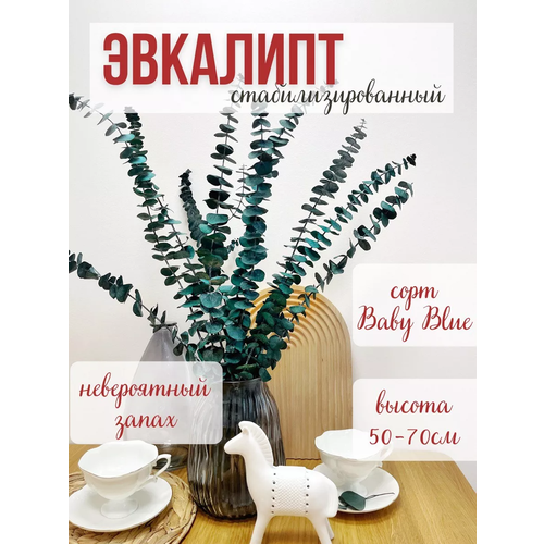 Натуральные стабилизированные цветы для декора - Эвкалипт