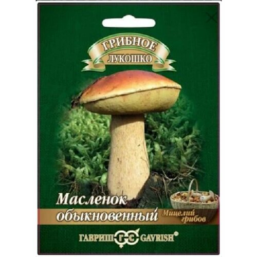 Масленок на зерновом субстрате, больш. пак. 15 мл. семена мицелий грибов масленок