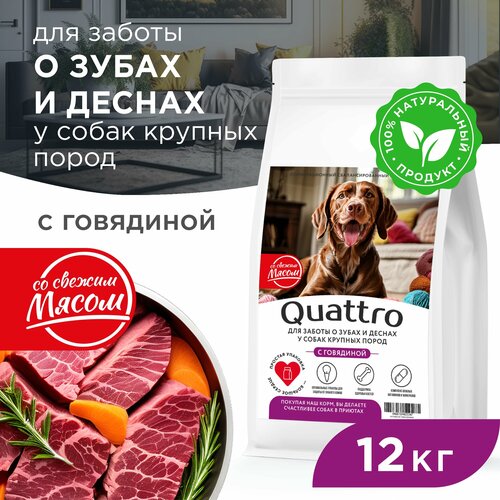 Корм сухой для взрослых собак крупных пород, премиум полнорационный комплекс, для заботы зубов и десен, с говядиной, 12 кг, QUATTRO