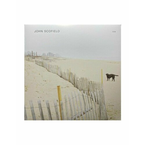 0602445343874, Виниловая пластинкаScofield, John, John Scofield