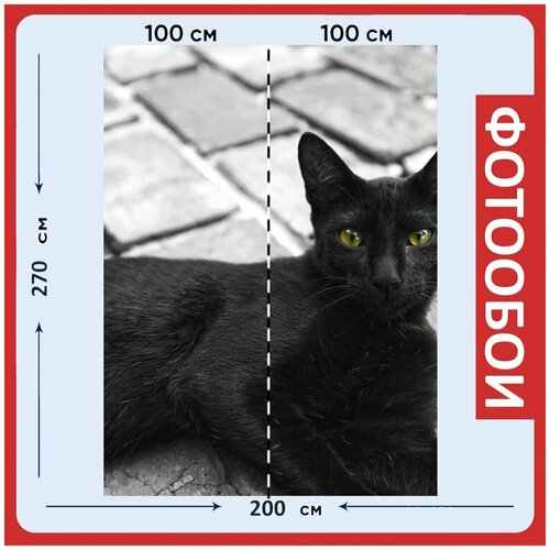 Фотообои Черный кот кошка кошачий 200x270 см флизелиновыена стену 2950₽