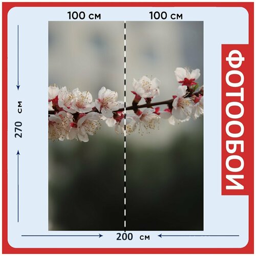Фотообои Персиковый цветок цветы ветви 200x270 см флизелиновыена стену 2980₽