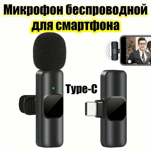 Микрофон беспроводной для смартфона Type-C Орбита OT-SML02 770₽