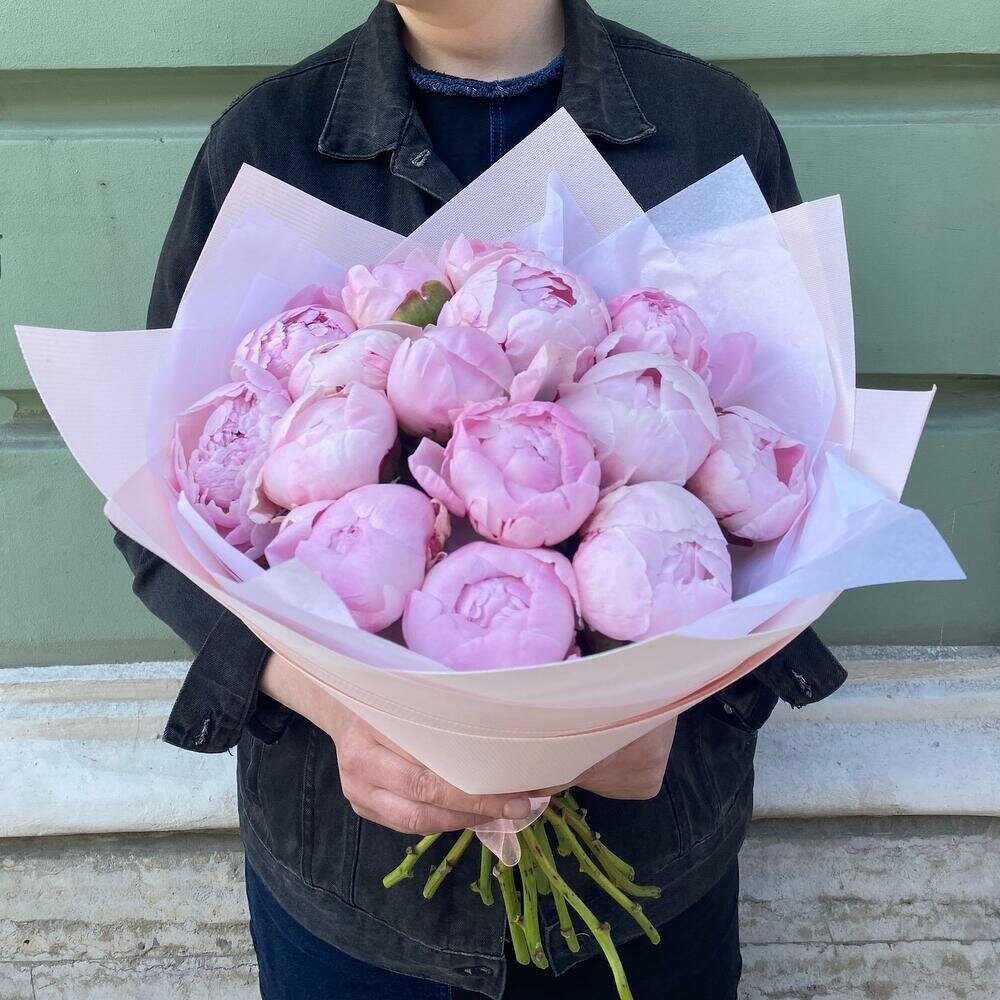 Пион розовый Сара Бернард 15 штук