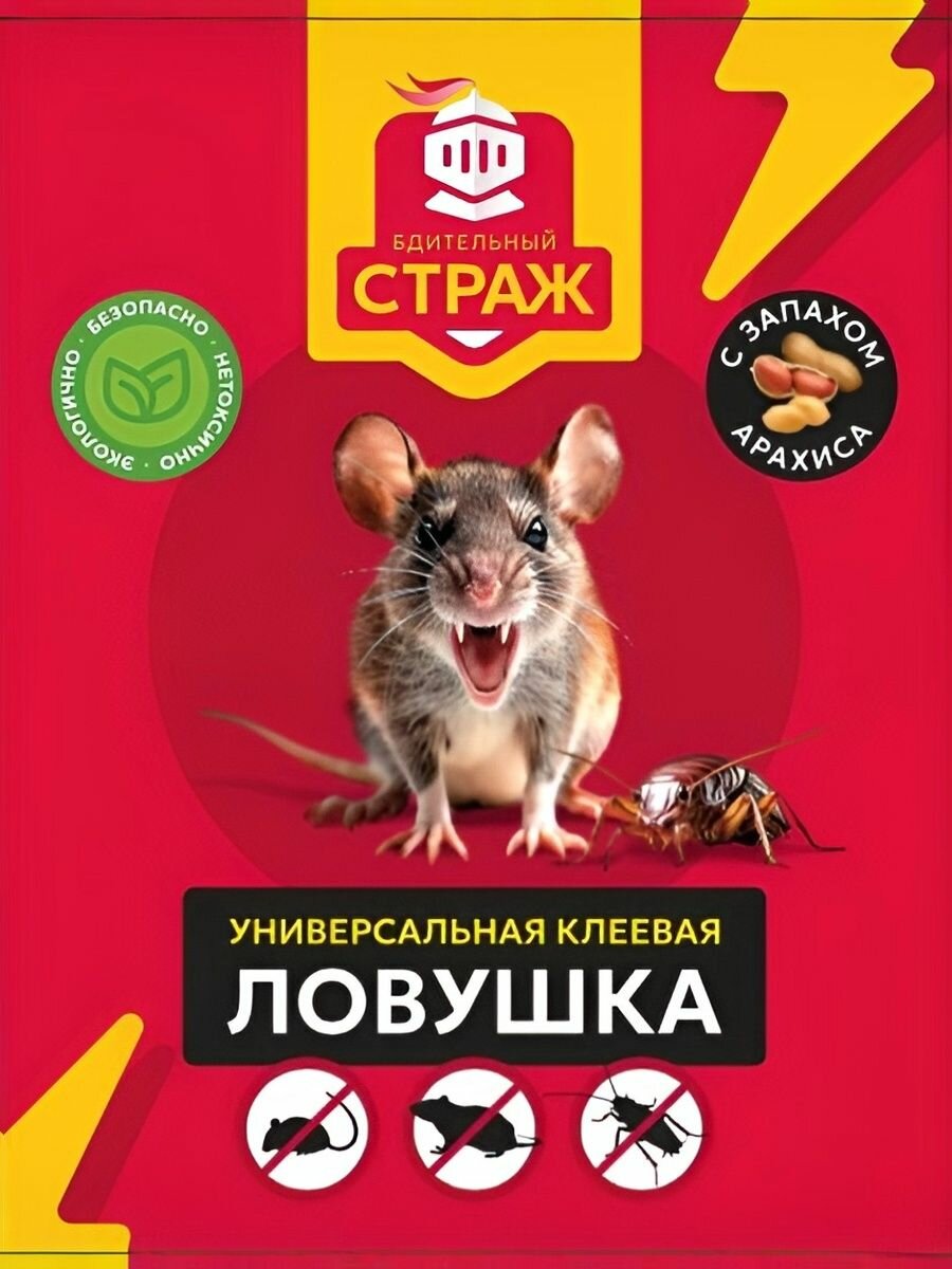 Ловушка 