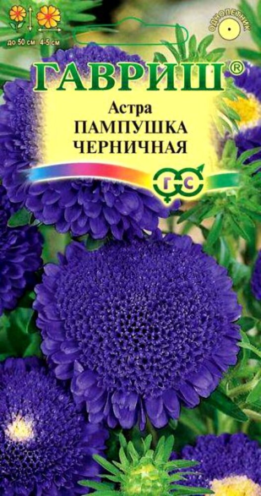 Семена Астра Пампушка черничная 03г Одн 50см (Гавриш)