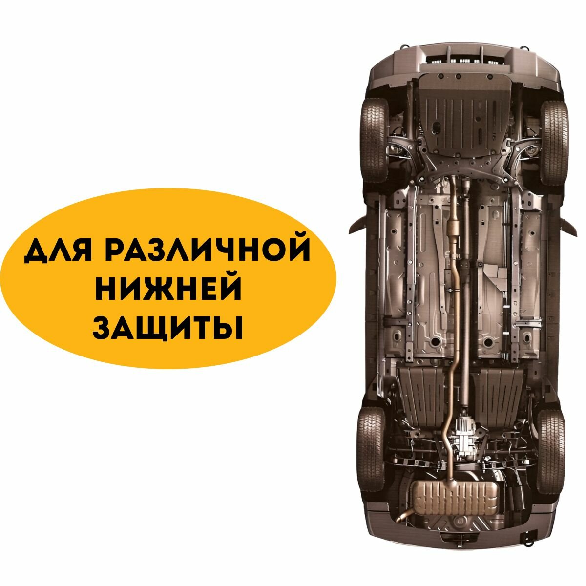 Клипсы автомобильные Renault. Клипсы автомобильные ежик для Рено. Пистоны для автомобиля Рено.