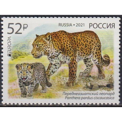 Почтовые марки Россия 2021г. Исчезающие виды животных - переднеазиатский леопард Леопарды MNH
