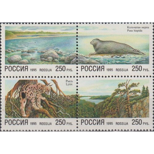 Почтовые марки Россия 1995г. Природа Флора, Фауна, Природа, Водоемы, Морские котики MNH марка морская фауна 1990 г квартблок