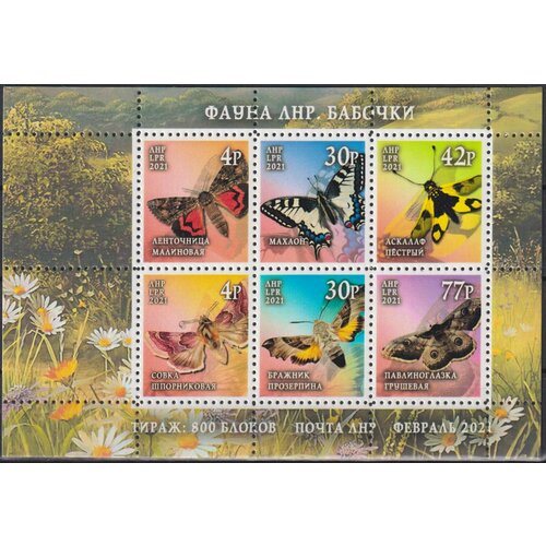 Почтовые марки ЛНР 2021г. Бабочки Бабочки MNH почтовые марки куба 1993г бабочки бабочки mnh