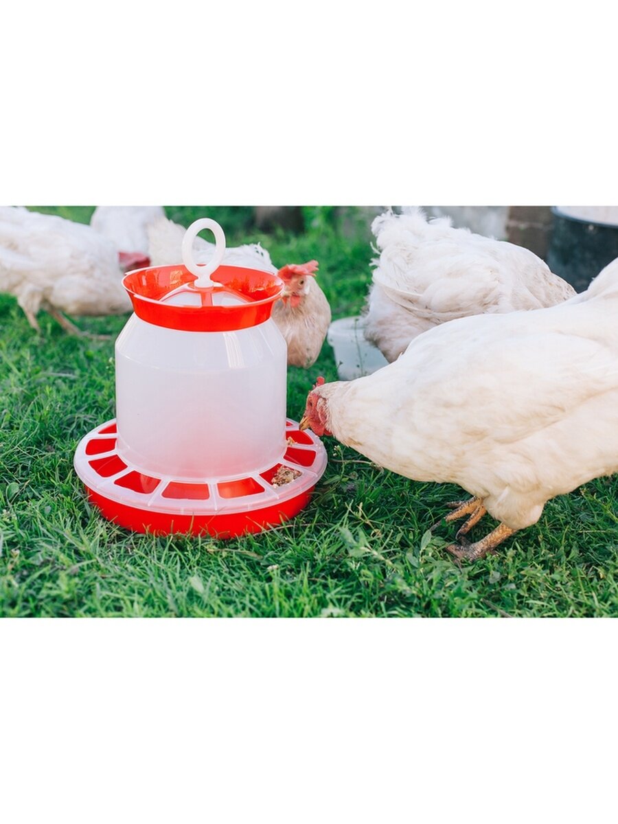 Кормушка бункерная для домашней птицы на 5 кг, цвет микс - фотография № 20
