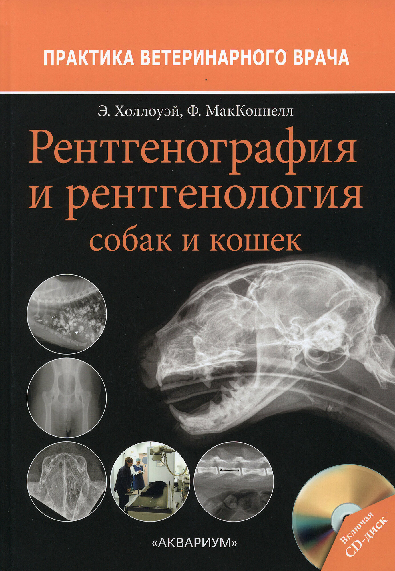 Рентгенография и рентгенология собак и кошек - фото №2