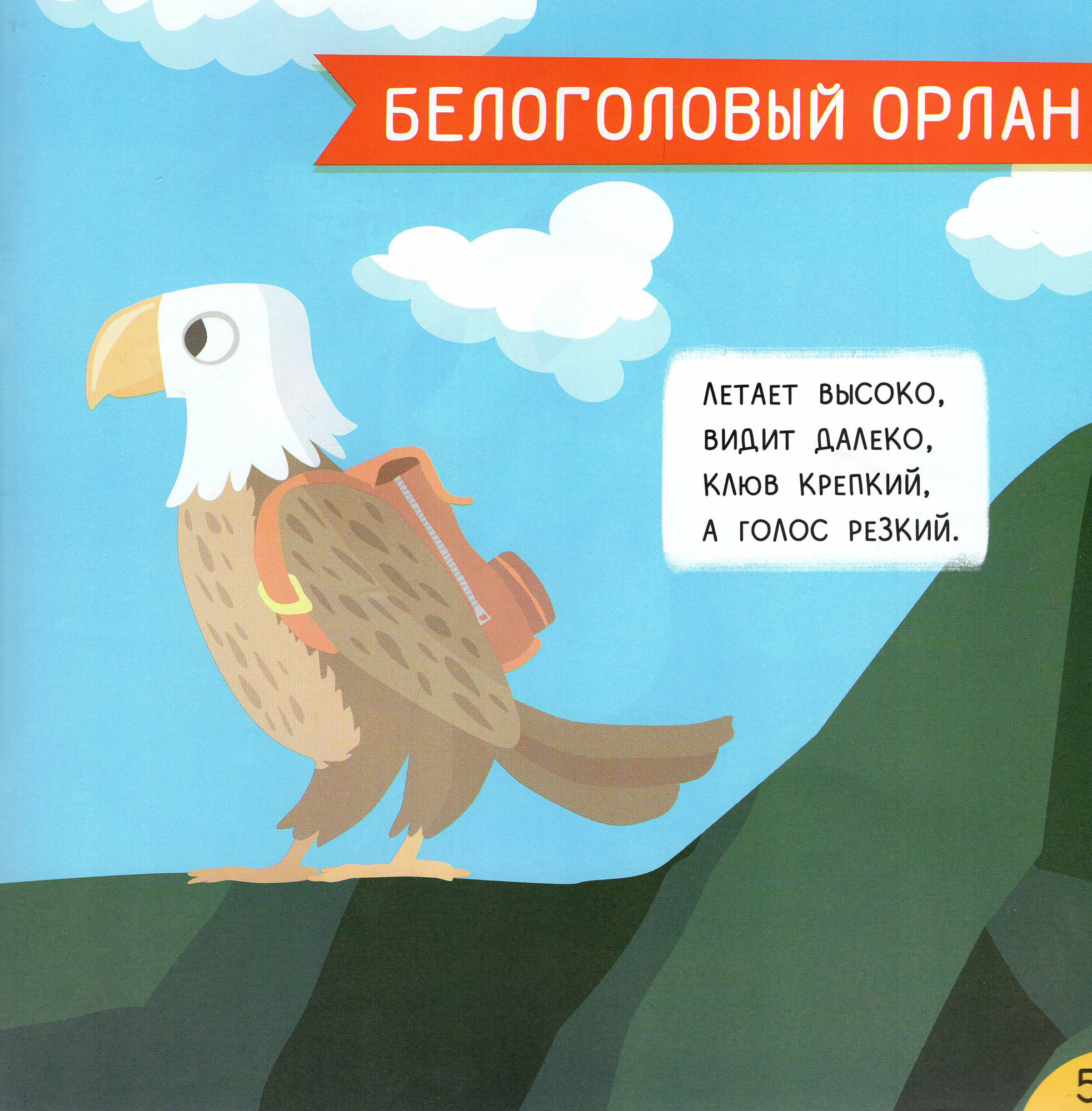 Дальние страны: мини-энциклопедия для крохи - фото №6