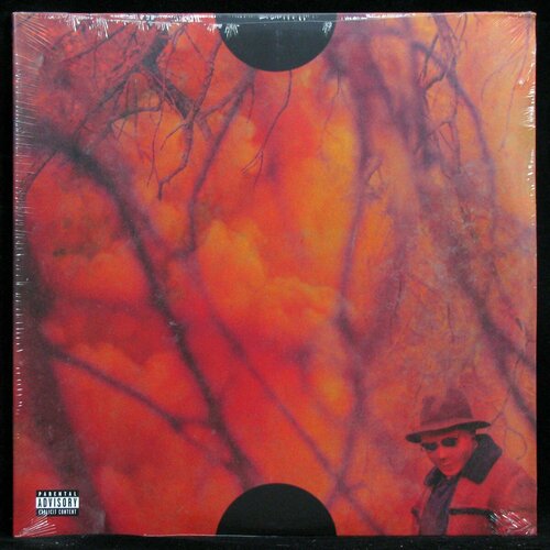 Виниловая пластинка Interscope Schoolboy Q – Blank Face LP (2LP)