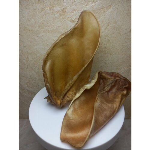 Ушки говяжьи сушеные Хрящ - ушная раковина цельная 90-130 гр 490₽