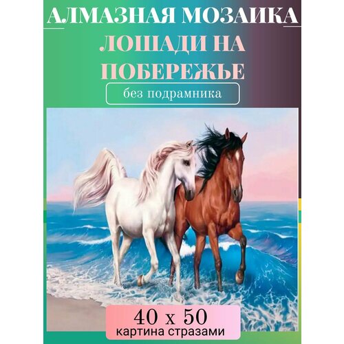 Алмазная мозаика без подрамника 40х50 см