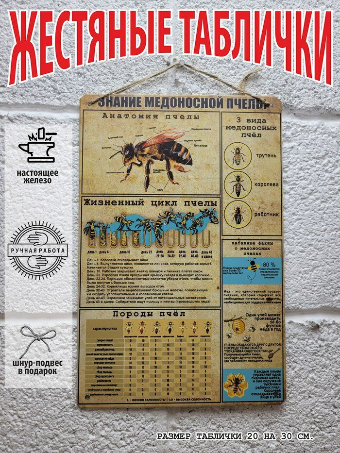 Знание медоносной пчелы постер на стену 20 на 30