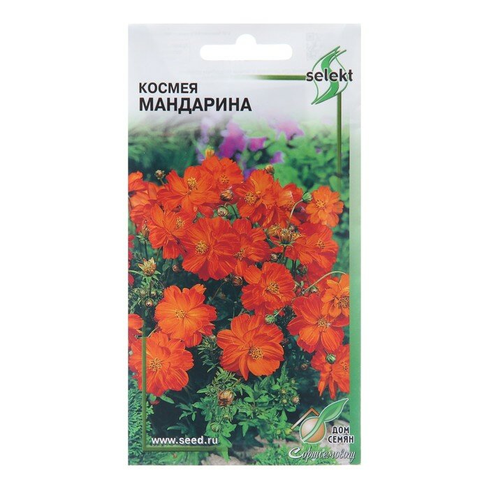 Семена цветов Космея 